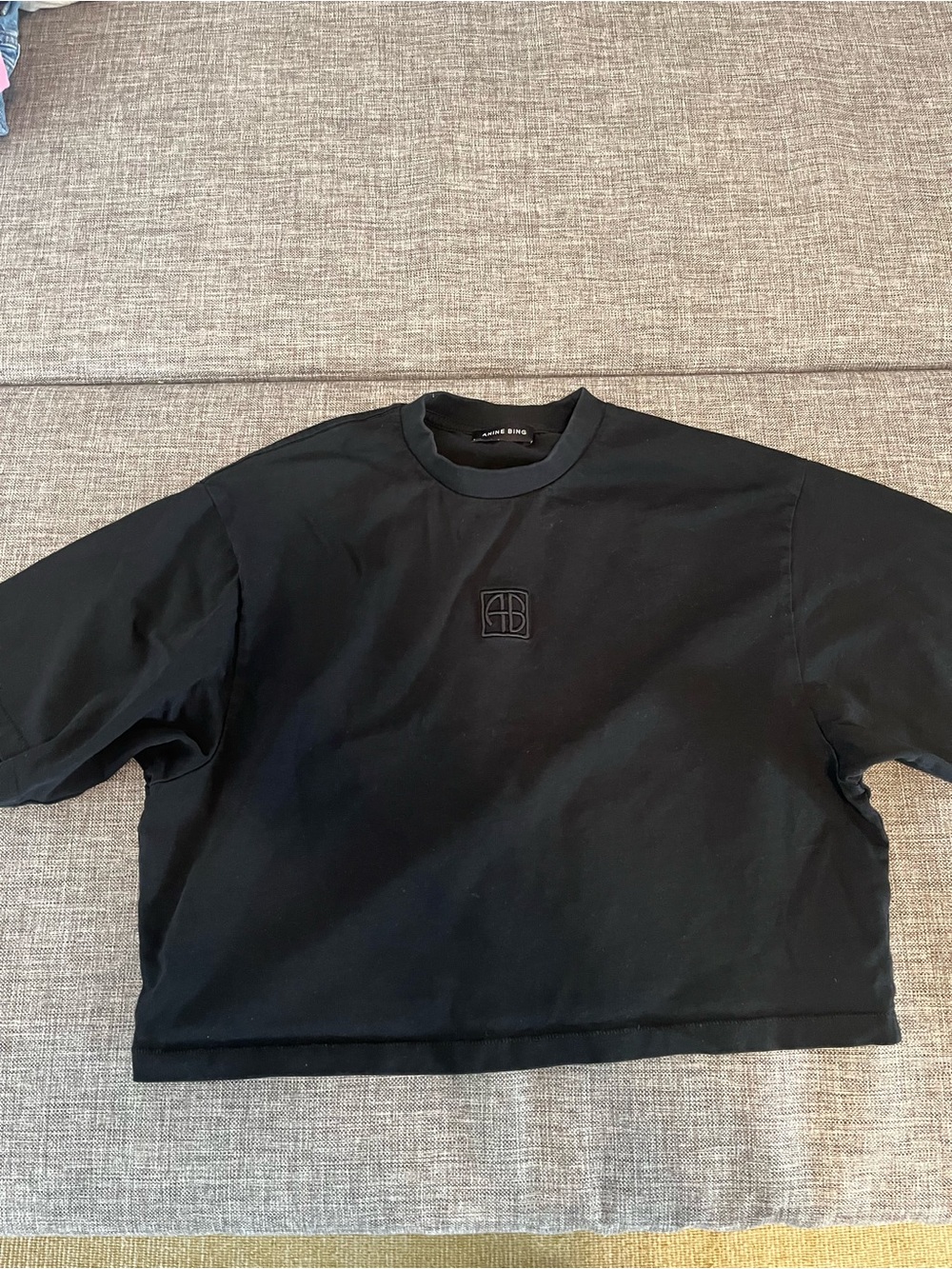 Anine Bing Black Myers Cropped Tee